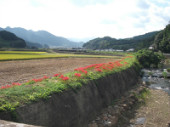 日本の原風景!?